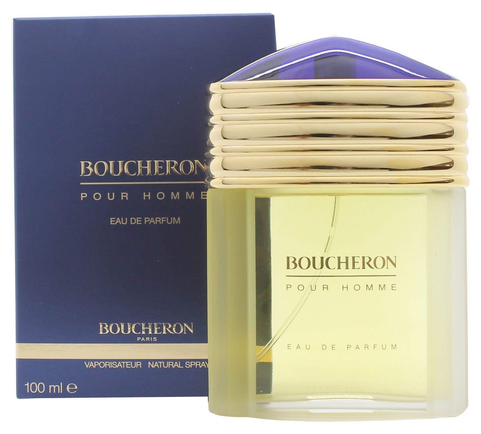Boucheron Pour Homme EDP 100 ml Erkek Parfüm