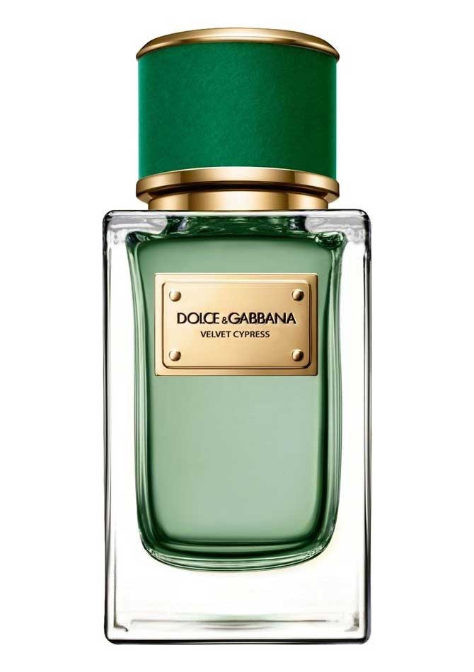 Dolce Gabbana Velvet Collection Velvet Cypress EDP 150 ml Erkek Parfüm