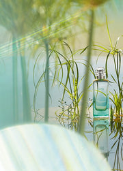 Hermès Un Jardin sur le Nil Eau de toilette 100ml