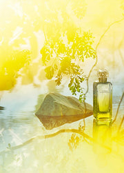 Hermès Le Jardin de Monsieur Li Eau de toilette 100ml
