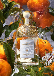 Guerlain Aqua Allegoria Mandarine Basilic EDT 75 ml Parfüm