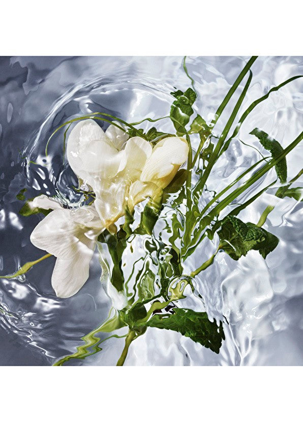 Guerlain Aqua Allegoria Herba Fresca EDT 75ml Unisex Parfüm