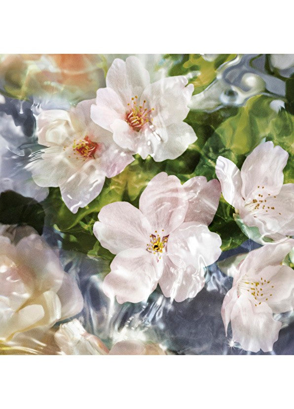 Guerlain Aqua Allegoria Flora Cherrysia EDT 75ml Parfüm