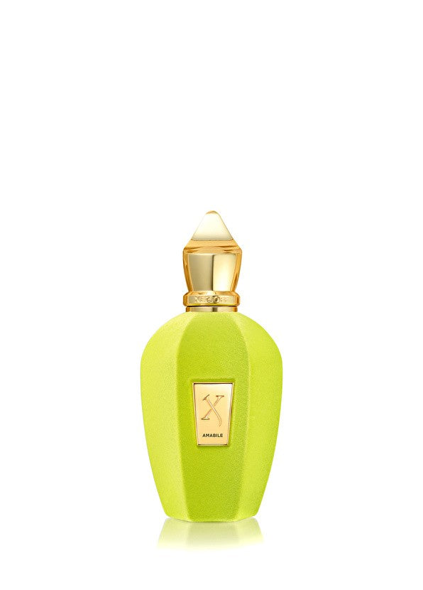 Xerjoff V Amabile 100 ml