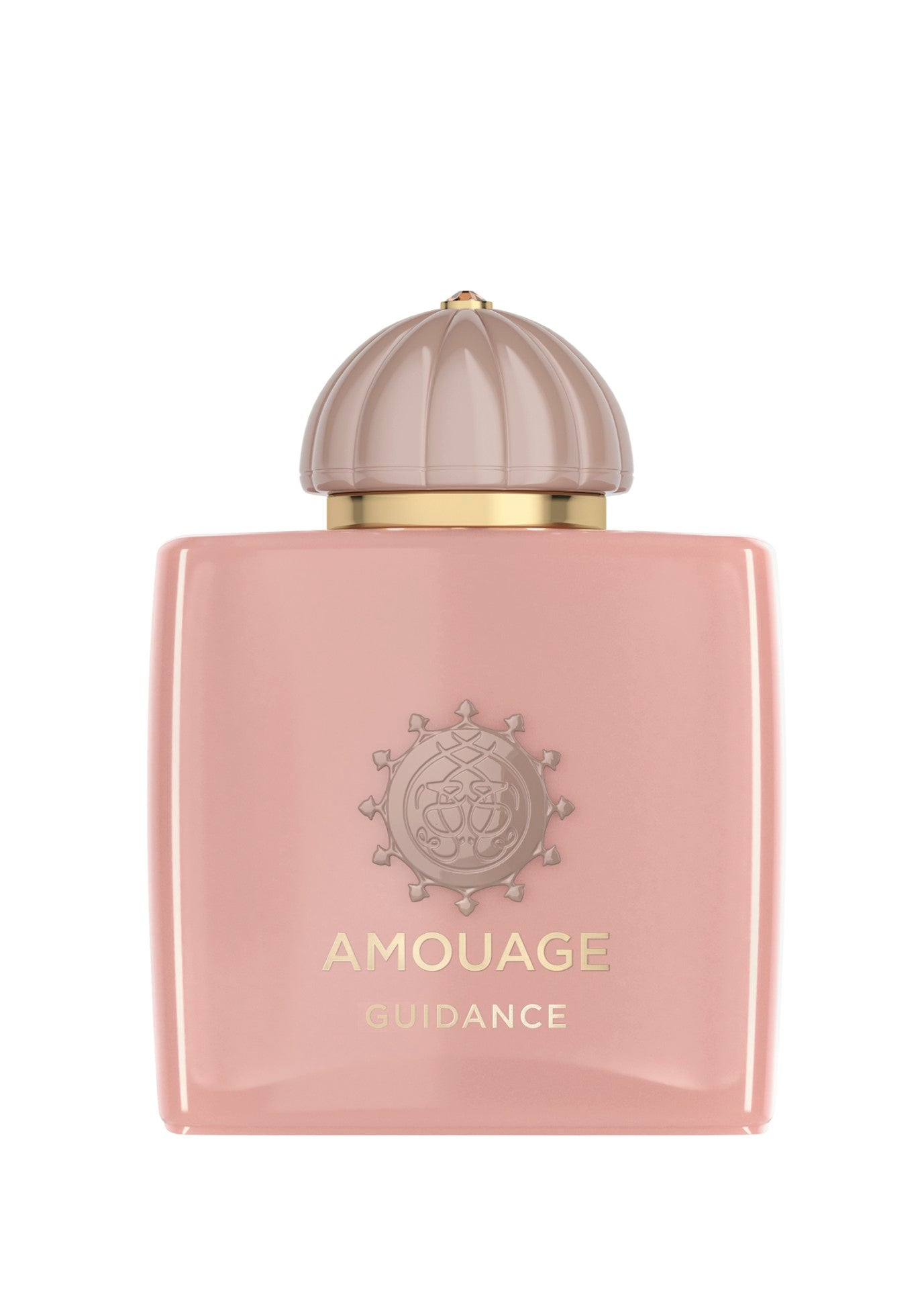 Amouage Guidance Edp 100 ml Parfüm